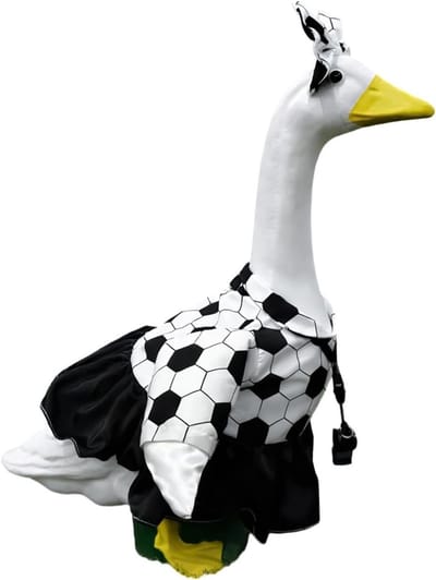 Ganzenkostuum Voetbal - Gans Kleding Set - Tuindecoratie - Sportief Ontwerp - 58 cm hoog - Uniek