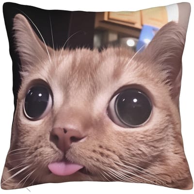 Kat Memes Grappige Meme Print Kussensloop Zachte Kussenhoes Voor Bank Auto Huisdecoratie Mode Kussenhoes 40x40cm