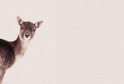 Fotobehang DeerRose DD119837 A.S. Création ARTist Bruin Roze Vlies 270 x 400 cm (4 delen) Goedkoop fotobehang