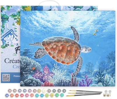 Figured'Art Schilderen op Nummer Volwassenen met lijst - Schildpad - Handwerk acrylverf Kit DIY Compleet - 40x50cm Canvas al ingelijst