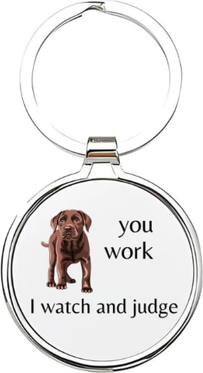 Akyol - you work, i watch and judge Sleutelhanger - Honden - hondenliefhebbers - dieren liefhebbers - puppy - huisdieren sleutelhanger - hondenpoot - love my dog - hond - labrador - herdershond - border collie - dog - 4 x 7,5 CM