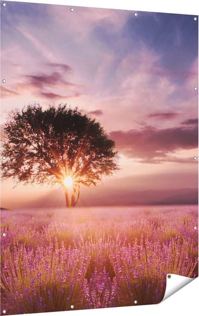 Gards Tuinposter Bloemenveld met Lavendel bij Zonsondergang - 120x160 cm - Tuindoek - Tuindecoratie - Wanddecoratie buiten - Tuinschilderij