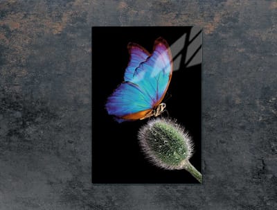 TMK ArtDeko - Snijplank - Glas - 35x52 cm - Motief: Vlinder