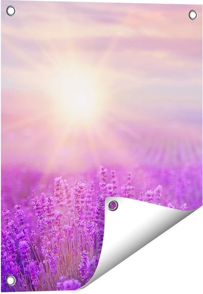 Gards Tuinposter Bloemenveld met Paarse Lavendel - 40x50 cm - Tuindoek - Tuindecoratie - Wanddecoratie buiten - Tuinschilderij