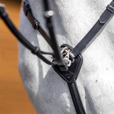 LeMieux Voortuig Kudos Zwart/Zilver - PONY