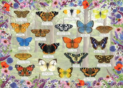 Gibsons - Beautiful Butterflies (door Fiona Osbaldstone) - 1000 stukjes 68×49cm (b×h) - Legpuzzel voor volwassenen
