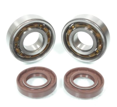 Roulement ou joint spi moteur RSM pour Auto Derbi R01-8900 Neuf