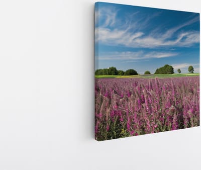 Saammp Canvas Schilderij - Lavendel met mooie blauwe lucht - Natuur - Landschap - 20x20 - Foto op canvas - Wanddecoratie - Muurdecoratie Woonkamer - Slaapkamer decoratie - Canvas Print