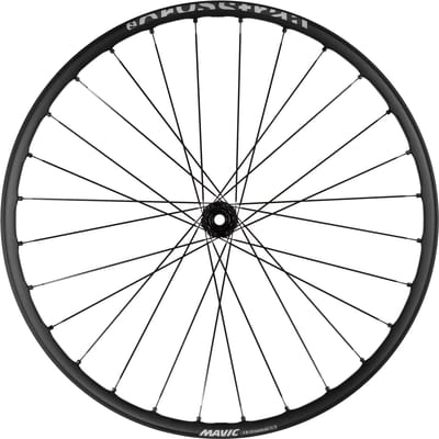 Mavic E-crosstrail Sl 29´´ Boost Cl Disc Tubeless Mtb Voorwiel Zilver 15 x 110 mm