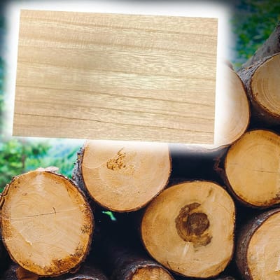 Houten Planken - Doe-het-zelf Materiaal - Knutsel Projecten - Glad Paulowniahout - 30x30 cm - Naturel