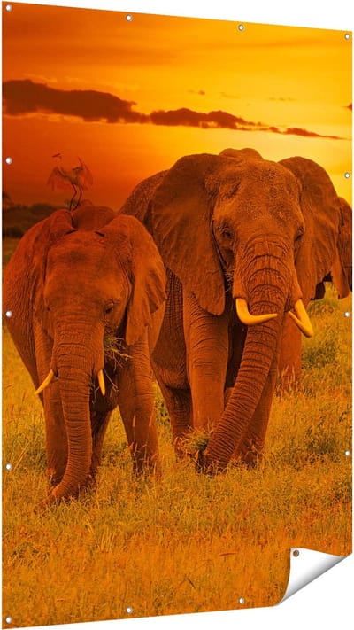 Gards Tuinposter Olifanten in het Wild - Zonsondergang - 120x180 cm - Tuindoek - Tuindecoratie - Wanddecoratie buiten - Tuinschilderij