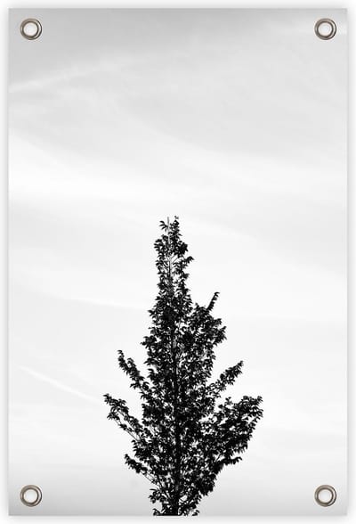 Tuinposter “Boom” - “60x90cm” - poster tuin