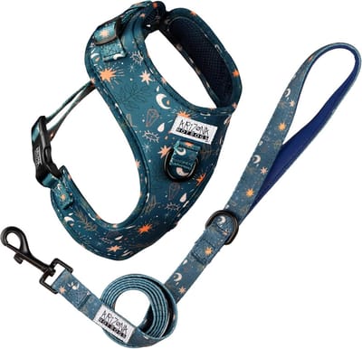 Comfortabel Soft Tuigje voor Kleine Honden - Anti Trek en Ademend