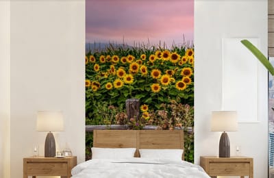 Behang - Fotobehang Zonnebloem - Bloemen - Planten - Breedte 120 cm x hoogte 240 cm