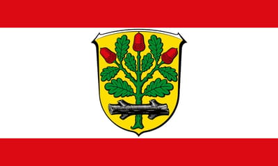Vlag Langen 100x150cm
