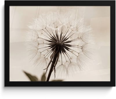 Poster in lijst - Fotolijst 40x30 cm - Posters - Paardenbloem - Minimalistisch - Wit - Posterlijst zwart - Decoratie - Wanddecoratie woonkamer - Muurdecoratie slaapkamer