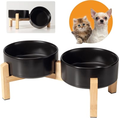 Hoge keramische hondenvoer- en waterbak met antislip bamboe standaard, ideaal voor katten en honden, 2 kommen van 480ml, perfect voor huisdieren en puppy's