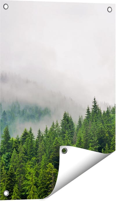Gards Tuinposter Groen Bos met Bomen tijdens de Mist - 40x60 cm - Tuindoek - Tuindecoratie - Wanddecoratie buiten - Tuinschilderij