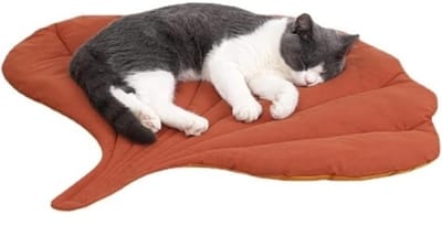 Daity Ginkgo Bladeren Kattenbed Kattenkussen Zacht Wasbaar Kattenslaapplaats Kattenmand Kattenbank Kattendeken Hondenbed voor Kleine Honden Huisdierbed