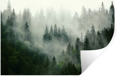 Muurstickers - Sticker Folie - Bos - Mist - Bomen - Natuur - 30x20 cm - Plakfolie - Muurstickers Kinderkamer - Zelfklevend Behang - Zelfklevend behangpapier - Stickerfolie