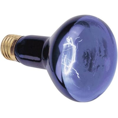 Omnilux R80 230V UV-lamp E27 75 W