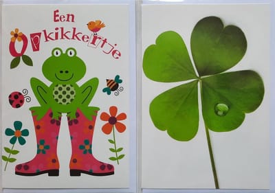 2 Wenskaarten - Een Opkikkertje + Blanco Kaart Klavertje 4 - 12 x 17 cm