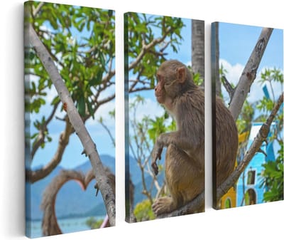 Artaza Canvas Schilderij Drieluik Aap In De Boom - 120x80 - Foto Op Canvas - Canvas Print