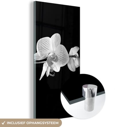 MuchoWow® Glasschilderij 60x120 cm - Schilderij acrylglas - Orchidee - Bloemen - Zwart - Roze - Knoppen - Foto op glas - Schilderijen