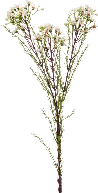 Emerald - Kunstbloem Wasbloem 78cm crème - Kunstplant voor binnen