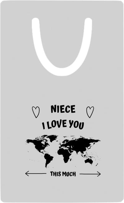 Hacebo® - Niece I love you this much metalen boekenlegger - Nicht - geweldige nicht - liefste nicht - verjaardag - cadeau - kado - bedankje - geschenk Bladwijzer boekenleggers - 7.6 cm x 5cm