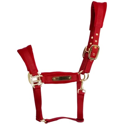 Halster voor paarden Kentucky Horsewear Velvet