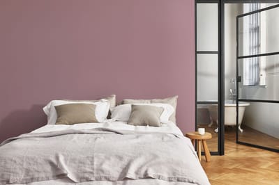 Levis - Expert Muur Binnen Mix - Shady Red A30 - Mengverf - 10 L