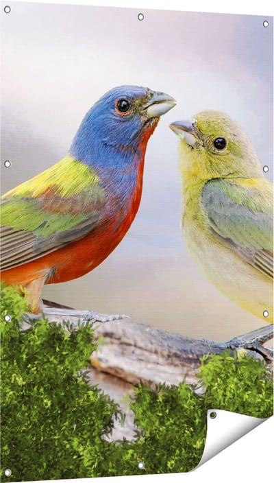 Gards Tuinposter Getekende Gorzen Vogels - Kleur - Abstract - 80x120 cm - Tuindoek - Tuindecoratie - Wanddecoratie buiten - Tuinschilderij