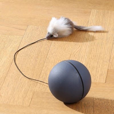 Balle Interactive intelligente pour chat, jouets d'intérieur, boule magique à roulement automatique, jouet électronique interactif, accessoires de jeu pour chat beige
