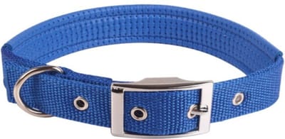 Nobleza Hondenhalsband - Verstelbaar 30-35 cm - Maat XS - Nylon - Zachte Voering - Gespsluiting - Blauw