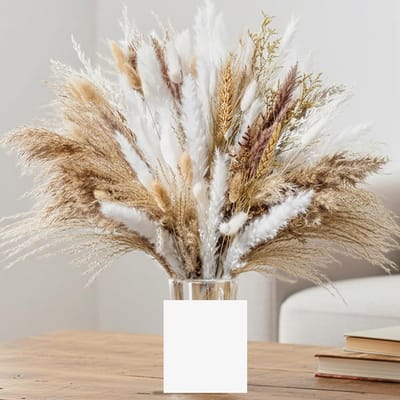 95 Stuks Gedroogd Pampasgras Boeket Natuurlijk Decoratie voor Boho en Rustieke Stijl