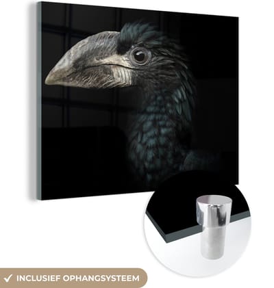 MuchoWow - Glasschilderij - Foto op glas - Acrylglas - Neushoornvogel - Dier - Snavel - Zwart wit - Vogel - 160x120 cm - Schilderij glas - Glasschilderij vogels - Glasschilderij zwart wit