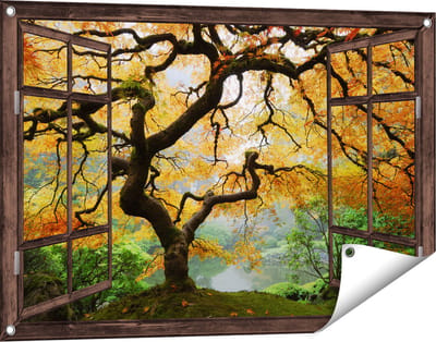 Gards Tuinposter Doorkijk Oude Knoestige Boom - 90x60 cm - Tuindoek - Tuindecoratie - Wanddecoratie buiten - Tuinschilderij