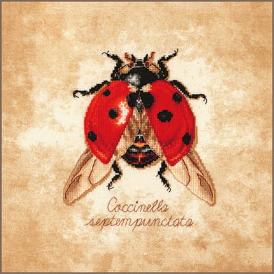 Lanarte Borduurpakket - Borduurset - Borduurpakket volwassenen - Telpakket kit Coccinella septempunctata - PN-0222198