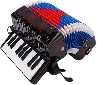 OmGoods - Dailygoody - Piano Accordeon - Muziekinstrument voor Beginners - Compact formaat - 17 Toetsen - Ideaal voor Studenten - Hoogwaardige Geluidskwaliteit
