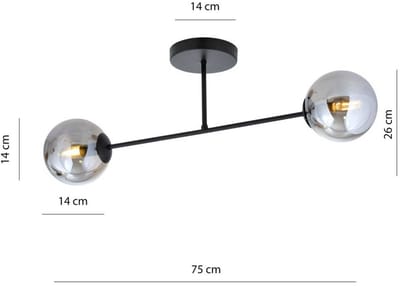 Euluna - plafondlamp - 2lichts - Staal, glas - H: 26 cm - E14 - zwart, grafiet