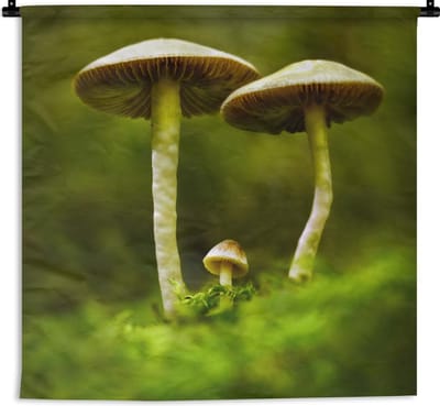 Wandkleed - Wanddoek - Twee grote en één kleine paddenstoel - 90x90 cm - Wandtapijt