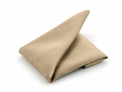 Pochet Camel