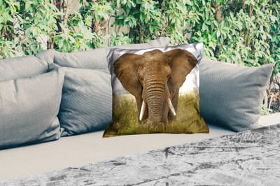 Buitenkussen Weerbestendig - Olifant - Natuur - Gras - Dieren - Landschap - 50x50 cm