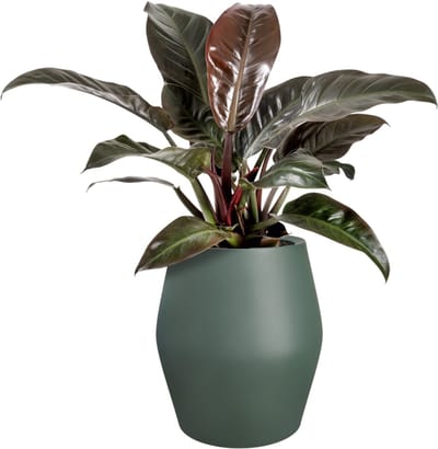Elho June Split High 46 - UV-bestendig en Kleurvaste Bloempot - Binnen & Buiten - Ø 46.0 x H 53.6 cm - Smaragdgroen