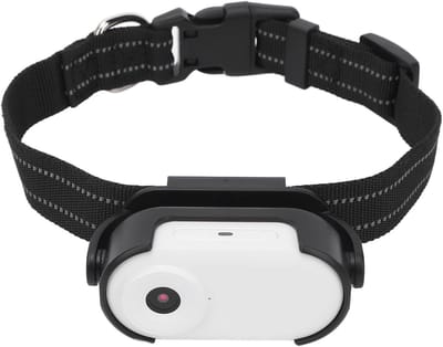 Huisdiercamera met Halsband - Mini Actiecamera - Huisdier Activiteiten Vastleggen - Magnetisch Ontwerp - 1080P HD - Wit