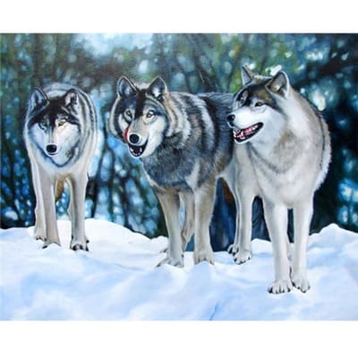 Diamant schilderij kruissteek dier diamant borduurwerk Wolf handwerk diamant mozaïek 20X30CM gray