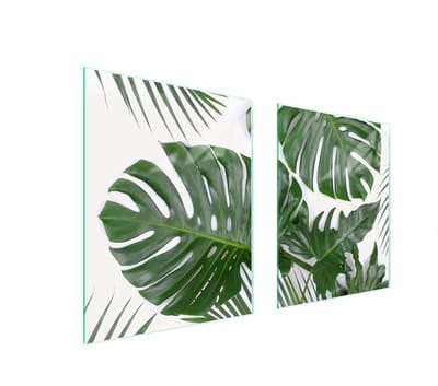 TMK ArtDeko Monstera - Glazen Beschermplaat - 85x52 cm - Kleurrijk Motief