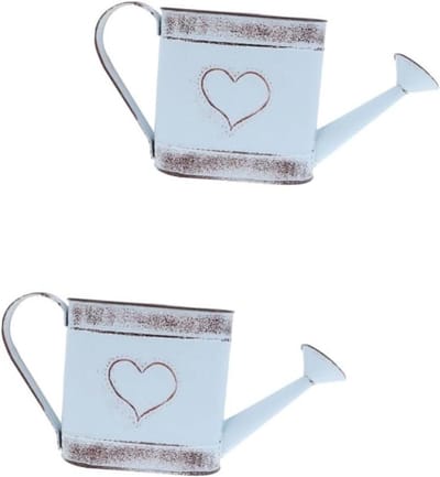 Decoratieve Gieter - Bloemenvaas - Planten Verzorgen - Set van 2 - 13 x 24 cm - A