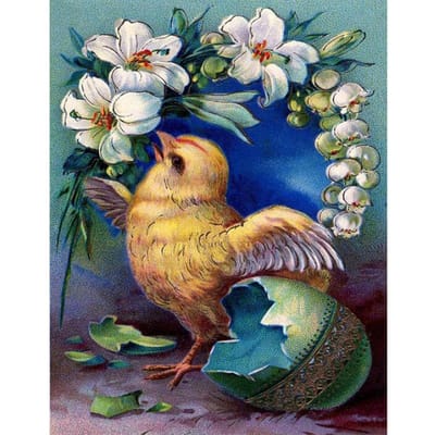 5D DIY diamant schilderij volledige ronde boor vogel met bloem diamant borduurwerk kruissteek 20X30CM blue